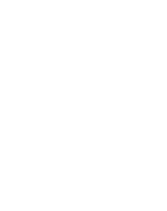 Logo de Mente Presente, kits de hongos funcionales y accesorios de bienestar.