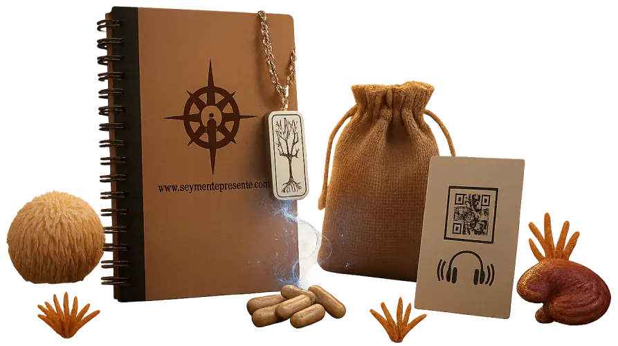 Kit de hongos funcionales Mente Presente con cápsulas, collar de aromaterapia, cuaderno para journaling y audio de meditación con ondas binaurales.